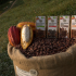 Perú Puro zeigt, was aus der Kakaobohne wird