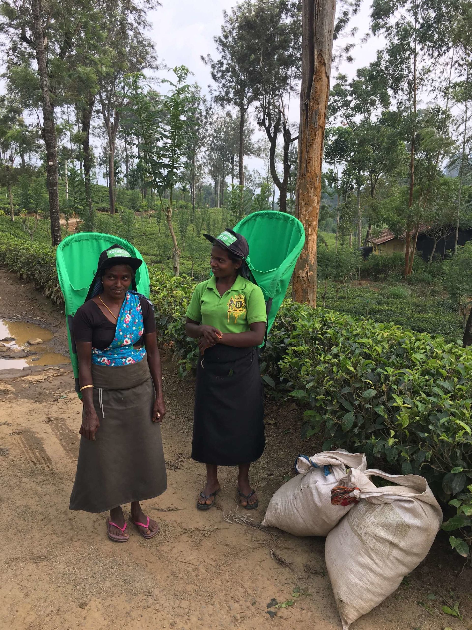 Zwei Teepflückerinnen in Sri Lanka