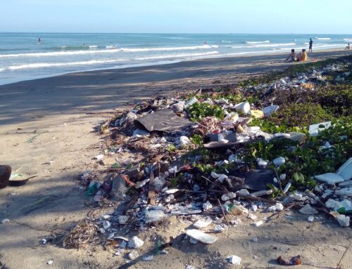 „Vom Plastiktütenverbot hin zu Taschen-Tausch-Stationen“ – Recyclist