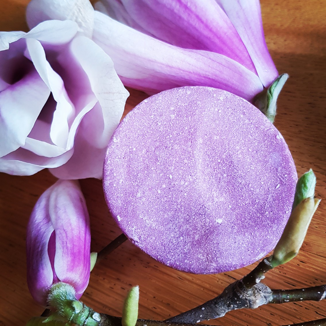 GG Freiheit Magnolie